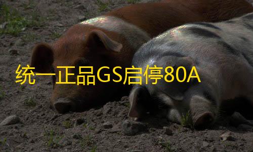 统一正品GS启停80AH雷克萨斯ES200RX350270 IS300LS 汽车原装电瓶