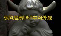 东风启辰D60中网外观改装配件D60 plus ev前脸铲保险杠专用装饰条