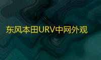 东风本田URV中网外观改装件前脸保险杠专用装饰亮条配件汽车用品