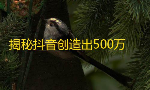 揭秘抖音创造出500万粉丝的方法，你值得拥有！