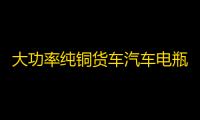 大功率纯铜货车汽车电瓶充电器12V24V伏充满自动停全智能通用型水