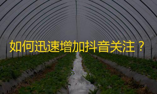 如何迅速增加抖音关注？掌握这些小技巧，带你飞速刷粉丝！