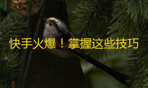 快手火爆！掌握这些技巧，让你的抖音账号飞涨关注！