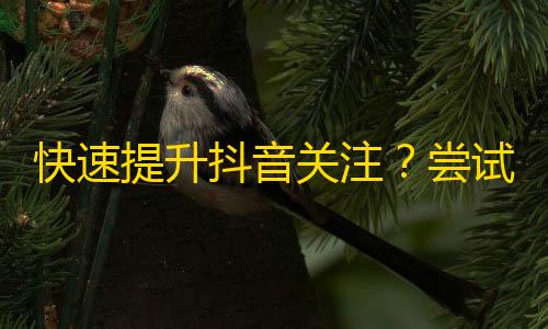 快速提升抖音关注？尝试这些技巧！