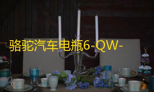 骆驼汽车电瓶6-QW-45适配雅阁本田CRV锋范杰德缤智12V45AH蓄电池