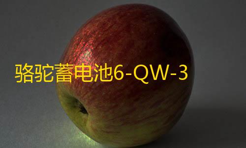 骆驼蓄电池6-QW-36适用于本田飞度哥瑞理念锋范铃木奥拓汽车电瓶B