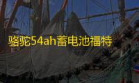 骆驼54ah蓄电池福特经典全顺福克斯福睿斯吉利新帝豪博越原装电瓶