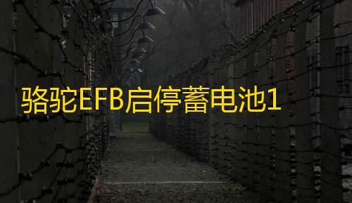 骆驼EFB启停蓄电池12V70AH奥迪Q3A3高尔夫7领动英朗途观L汽车电瓶