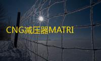 CNG减压器MATRIX意大利原装进口cng汽车天然气配件油改气减压阀