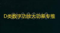 D类数字功放大功率专推单音圈双音圈10寸12寸喇叭无源低音炮功放